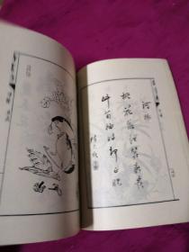 虫二飞曲谱_像蟑螂会飞的硬壳虫