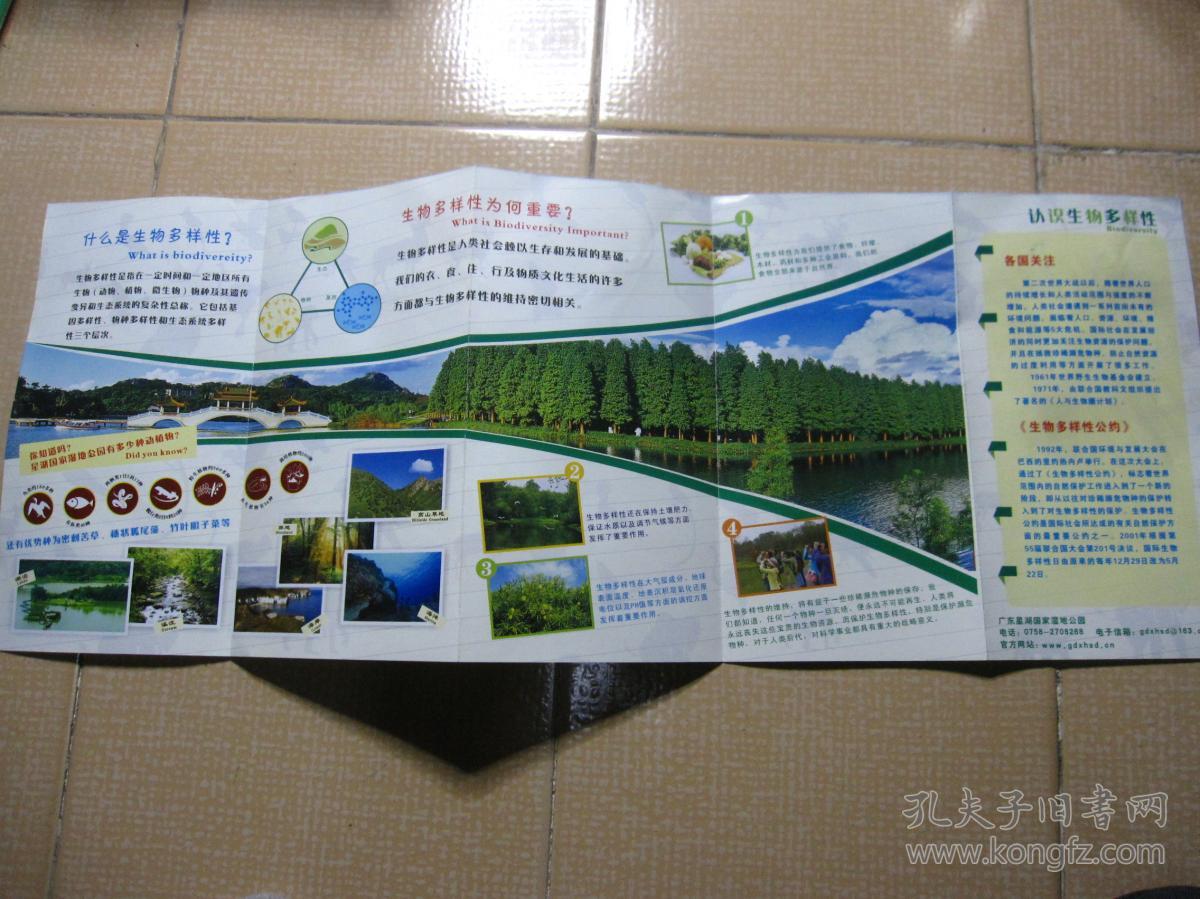 广东星湖国家湿地公园(全彩铜版精美图册 附送《星湖湿地导游图》