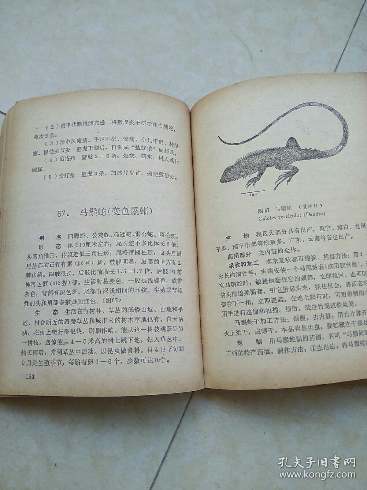 广西药用动物书脊及书角有损