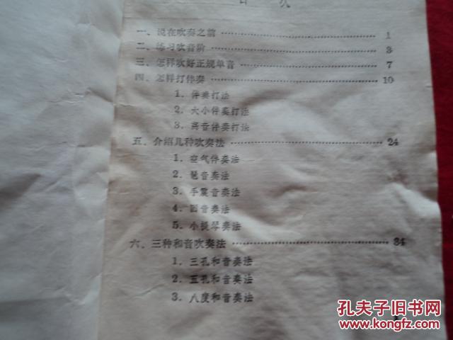 怎样夸人口琴吹的好_吹口琴的人
