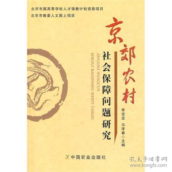 农村人口老龄化与社会保障_农村人口老龄化现状(2)
