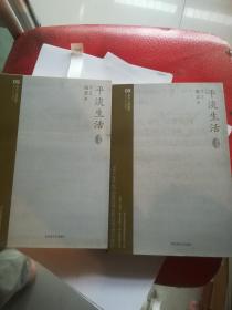 海岩小说典藏版09【平淡生活】库存两本