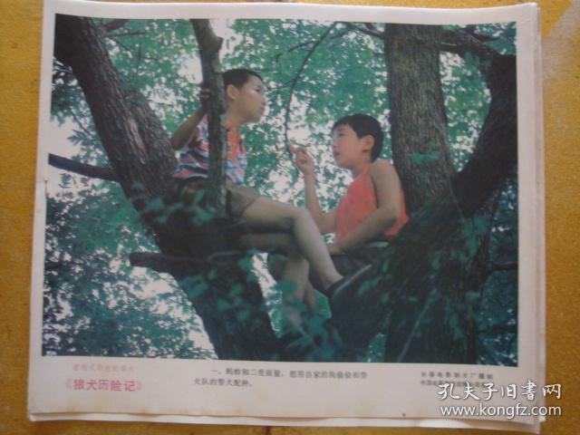 电影剧照 -- 狼犬历险记 1套8张(8开)全