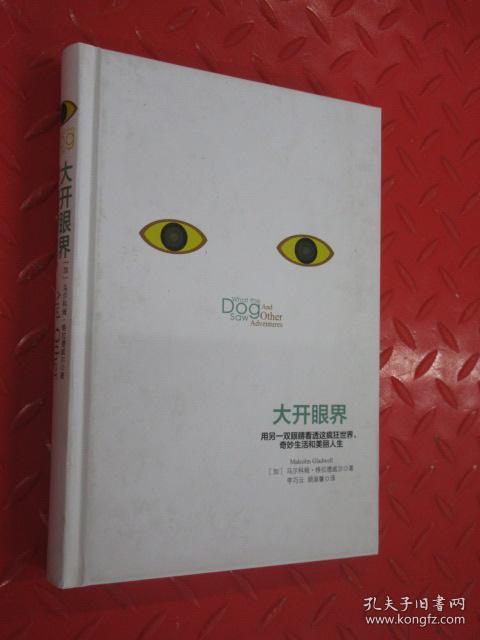 大开眼界 用另一双眼睛看透疯狂世界 奇妙生活和美丽人生 硬精装