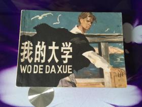 我的大学