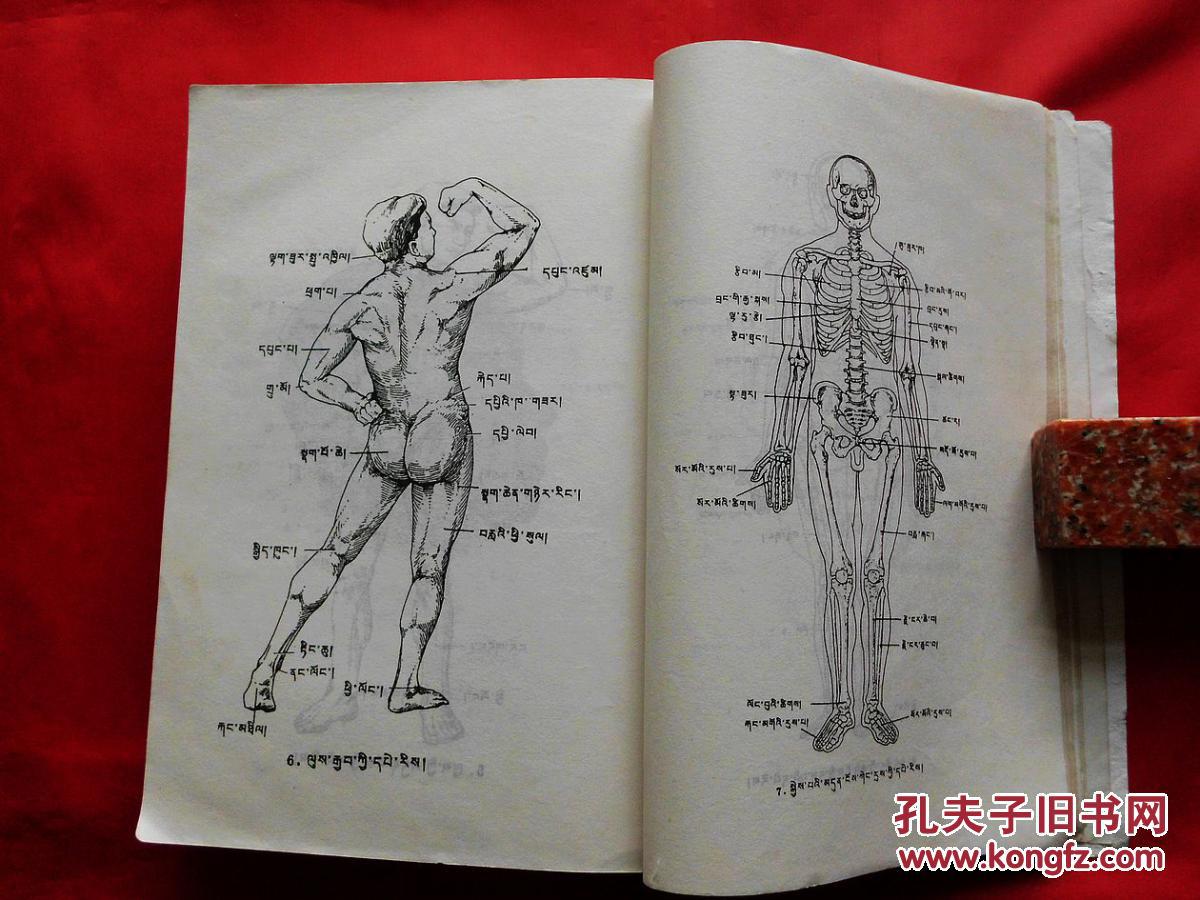 藏医辞典【藏文(1983年一版一印)