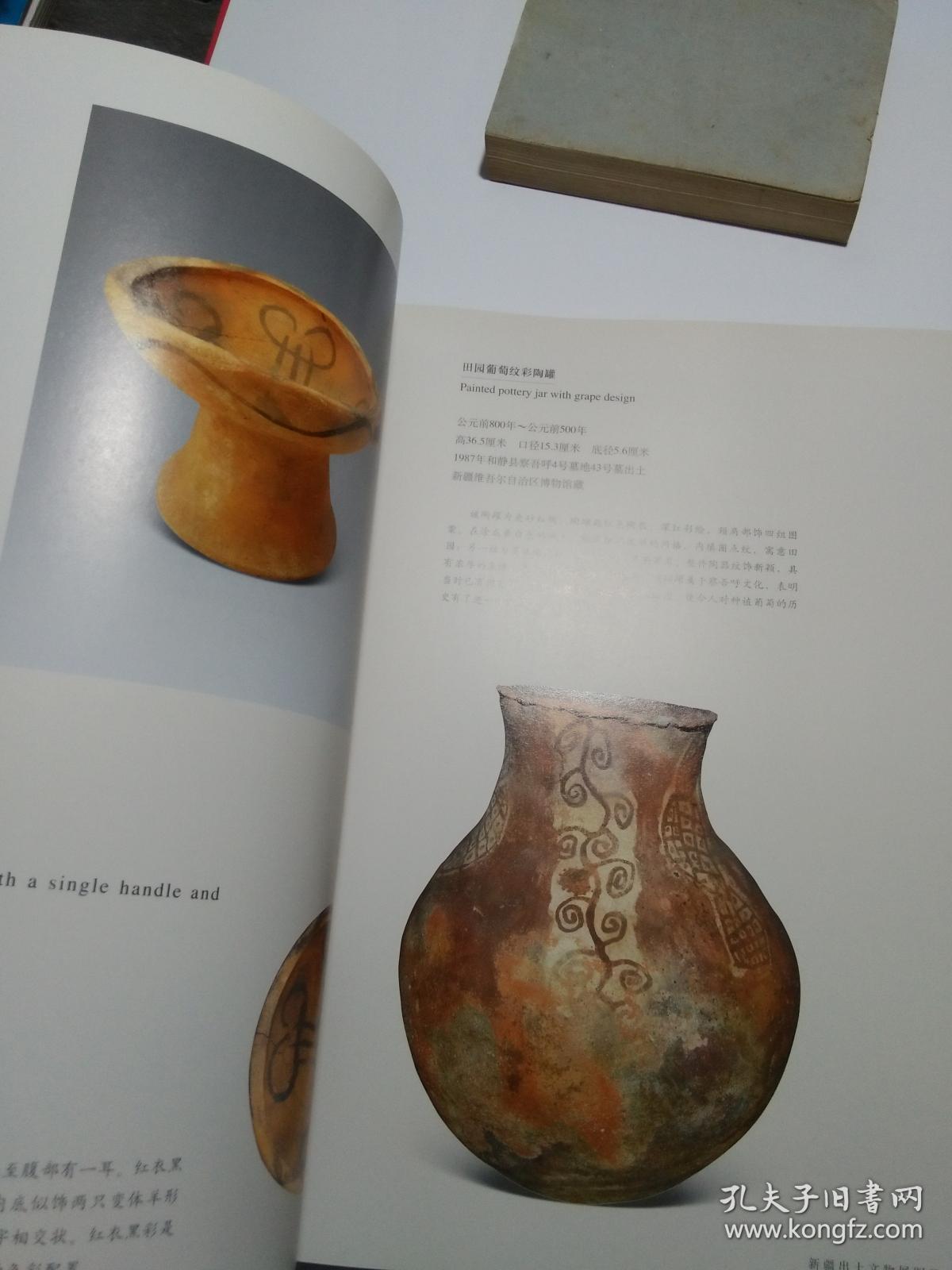 丝路遗韵:新疆出土文物展图录