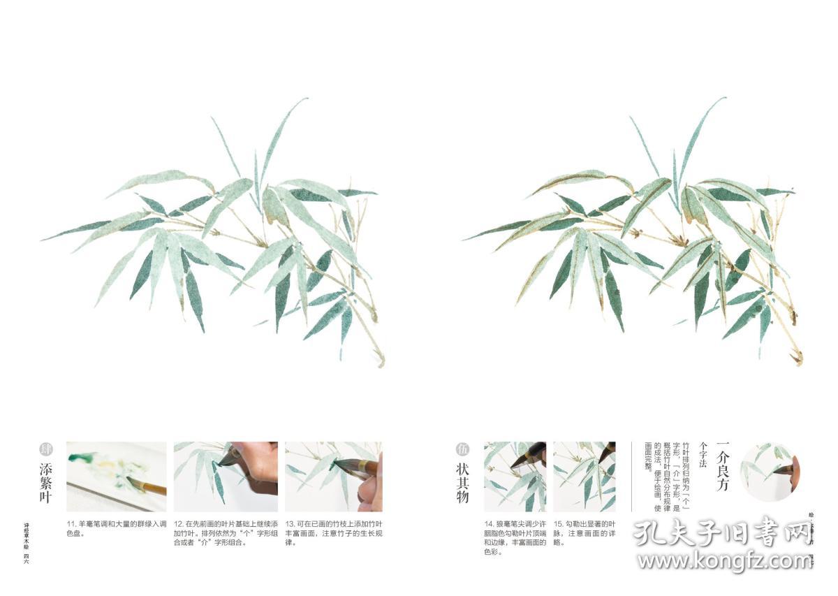 【签绘本】诗经草木绘:古风水彩植物手绘技法