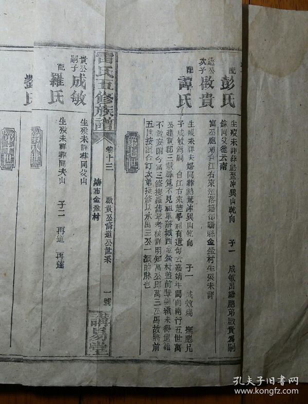 雷氏族谱 卷十三(雷氏五修族谱,万三公裔启贵公裔道公