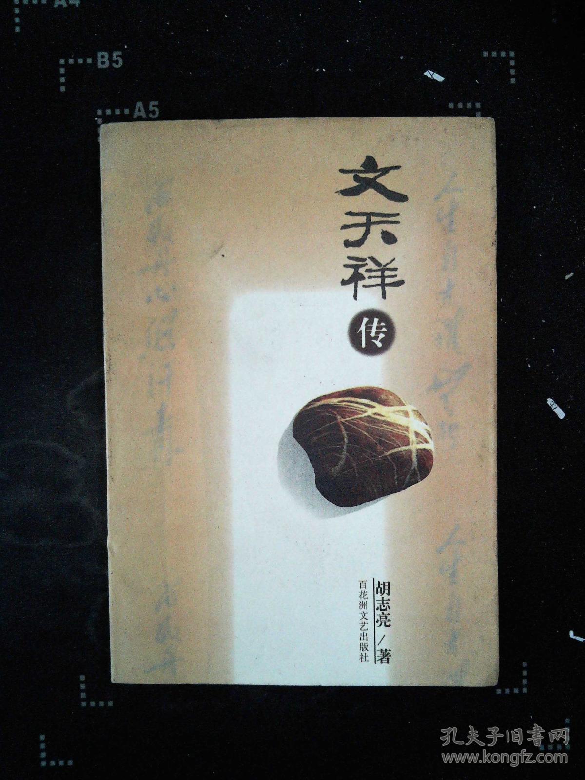 文天祥传