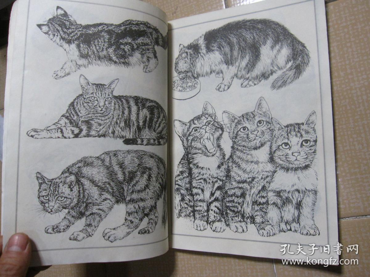 百猫图谱