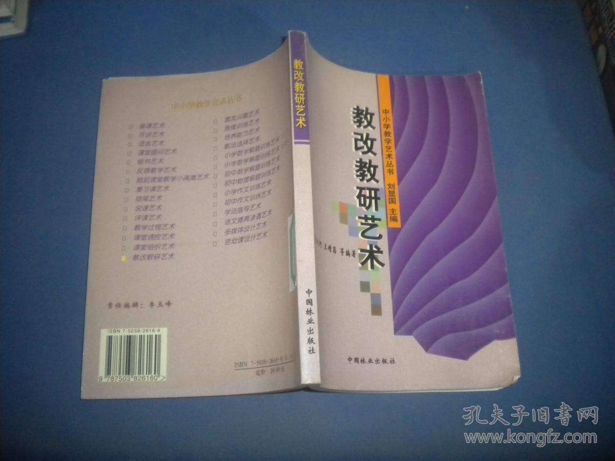 中小学教学艺术丛书:教改教研艺术