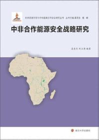 非洲资源开发与中非能源合作安全研究丛书/中非合作能源安全战略