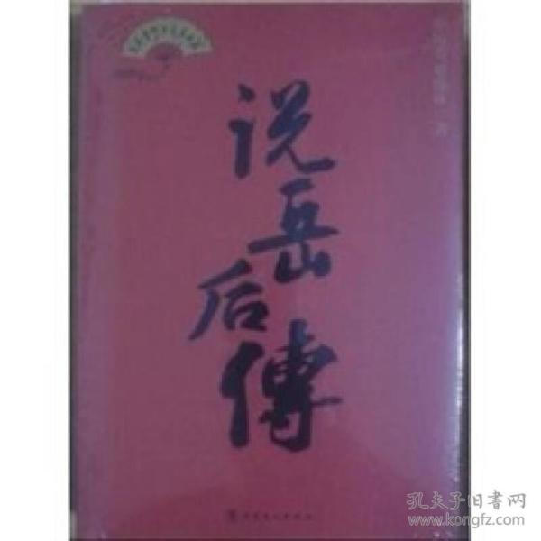 说岳 后传