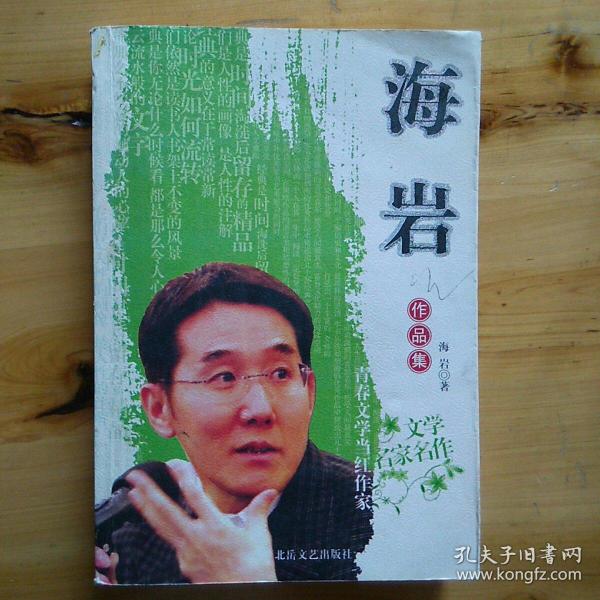 《海岩》作品集