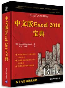 中文版Excel2010宝典