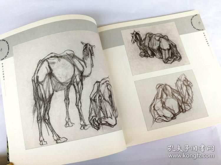 动物速写临摹范本鸟类马牛羊骆驼鸡鸭鹅畜禽速写李晶心