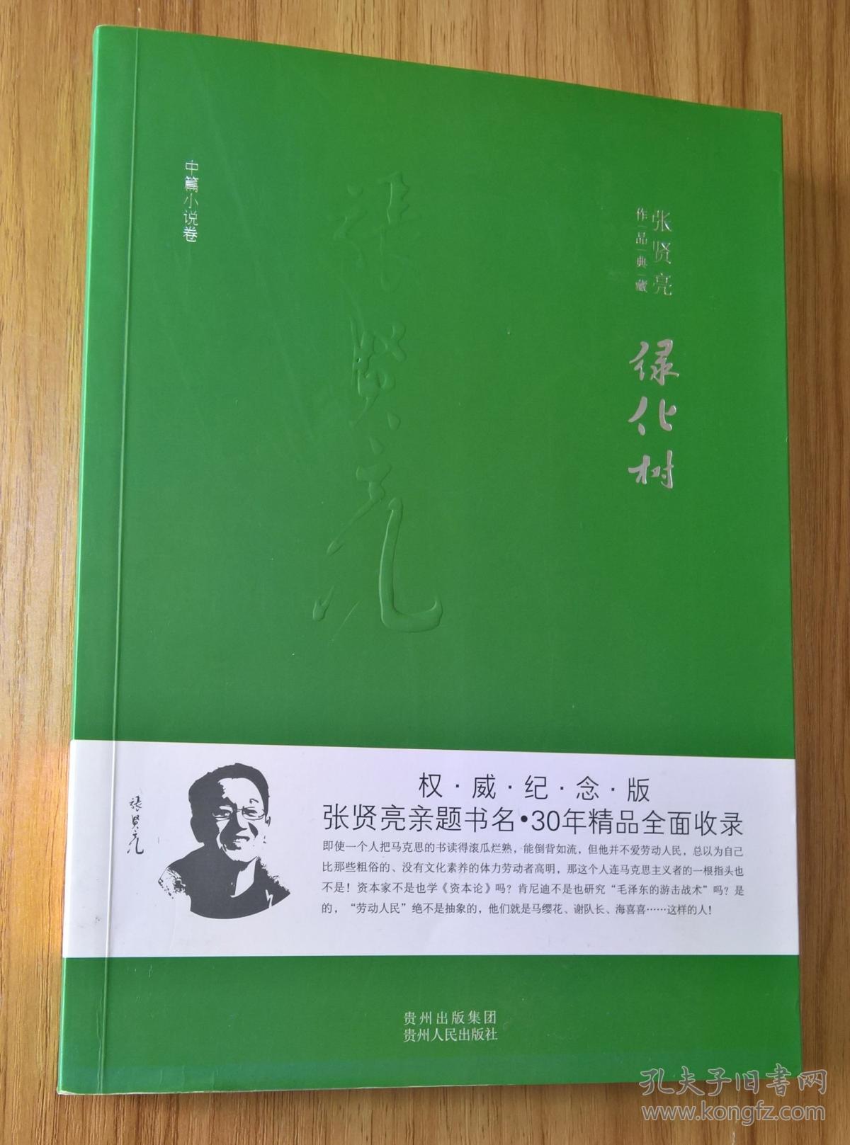 张贤亮作品典藏中篇小说卷绿化树