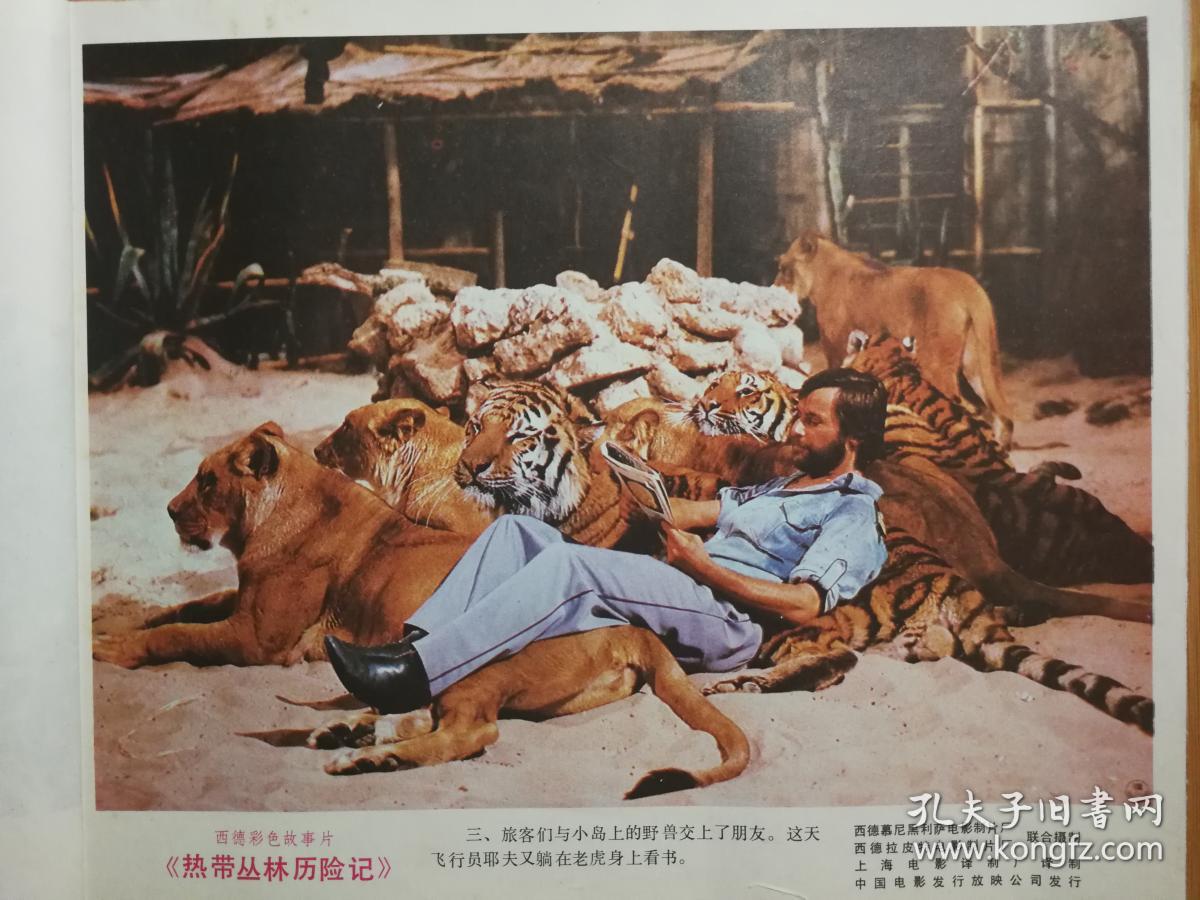 电影海报热带丛林历险记西德彩色故事片1982年12开8张电影剧照
