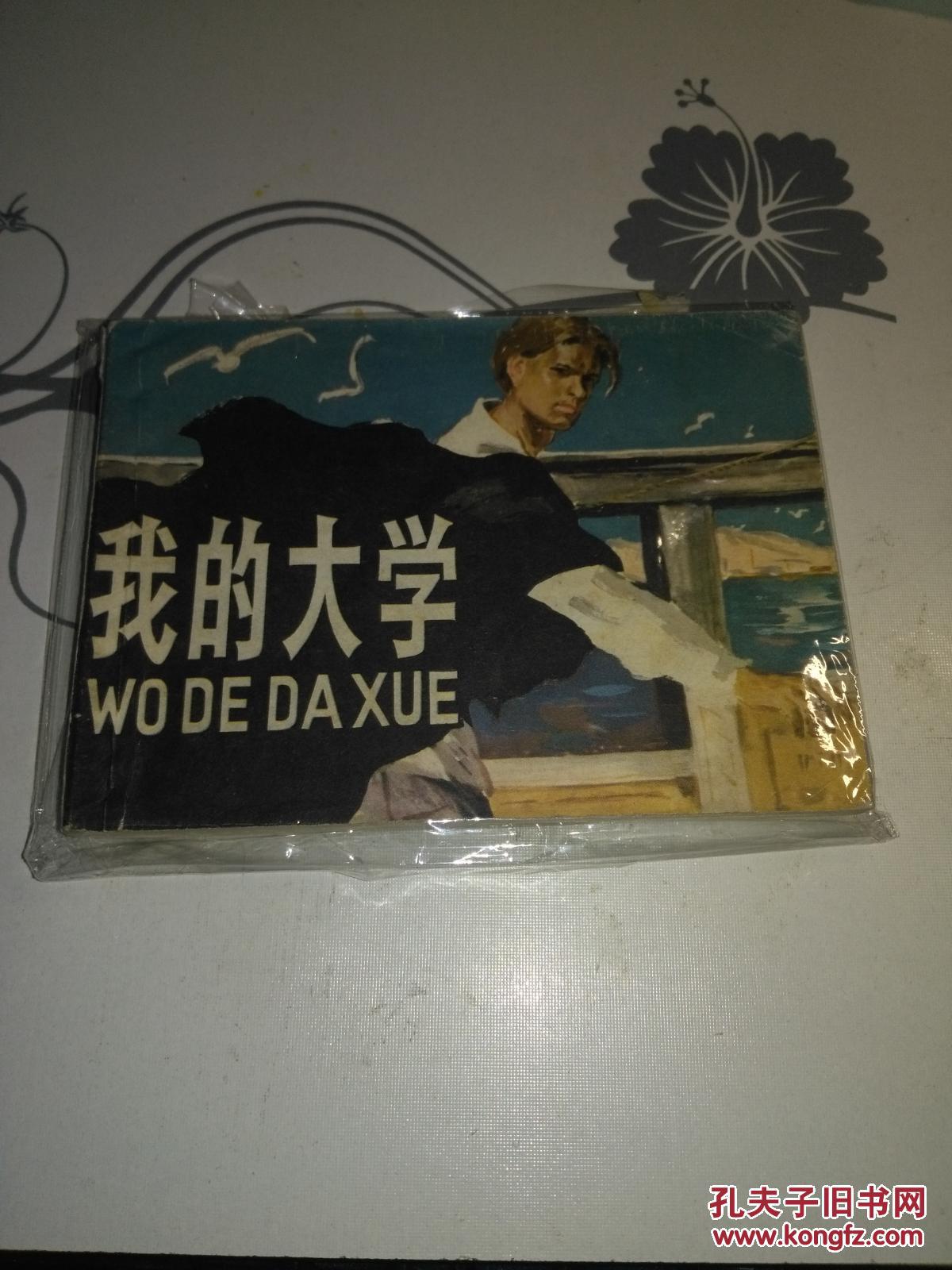 我的大学【1981一版一印】绘画板