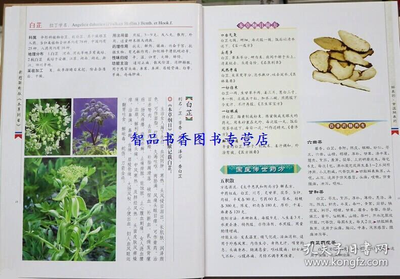 本草纲目正版彩图全4册精装解析版 中草药彩色图谱大全附方剂药方药膳