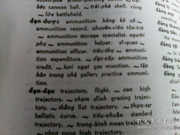 ntc"s vietnamese-english dictionary 英文原版厚册 越南语英语辞典