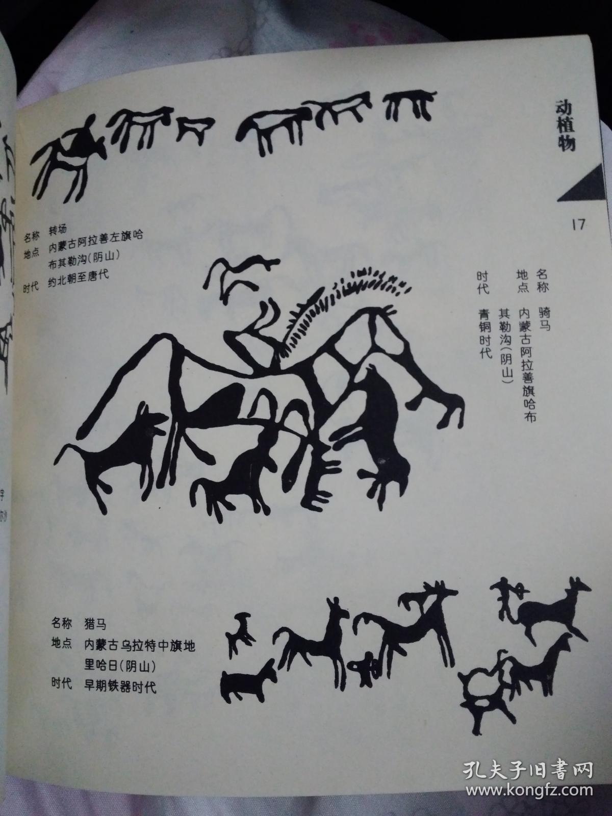 中国岩画图案