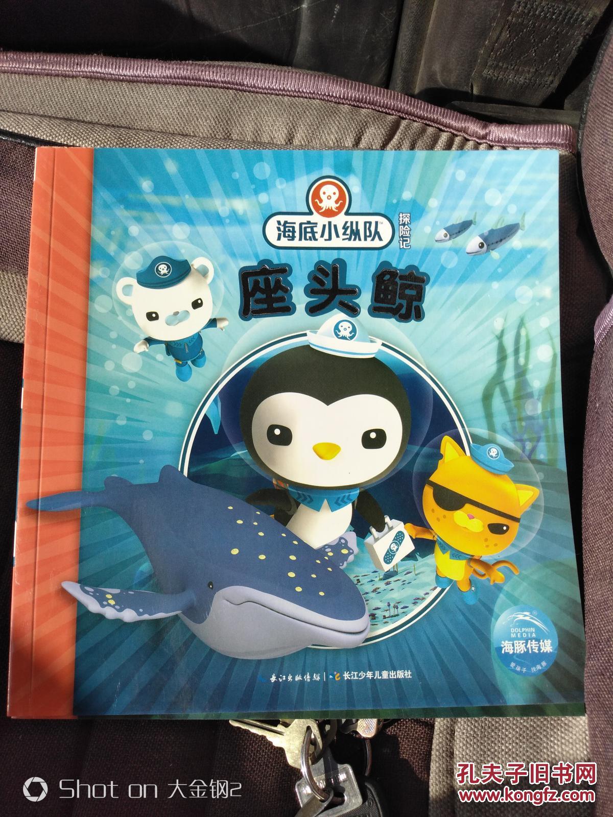 海底小纵队探险记-座头鲸
