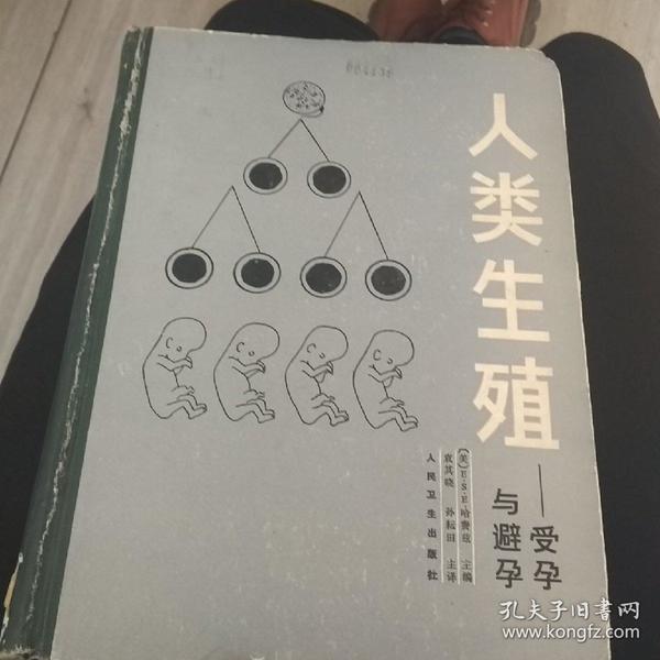 人类生殖 受孕与避孕