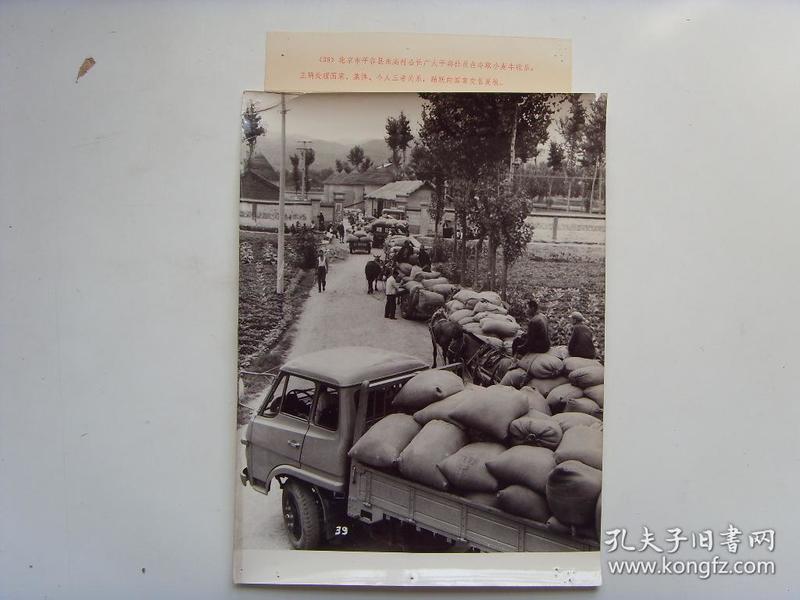 超大尺寸老照片:【※1970年,北京市平谷县东高村公社,排队向国家交售