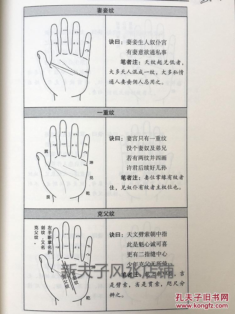 图解相手术 邵伟华 一看就懂 一学就会 看手相掌纹 手相看吉凶