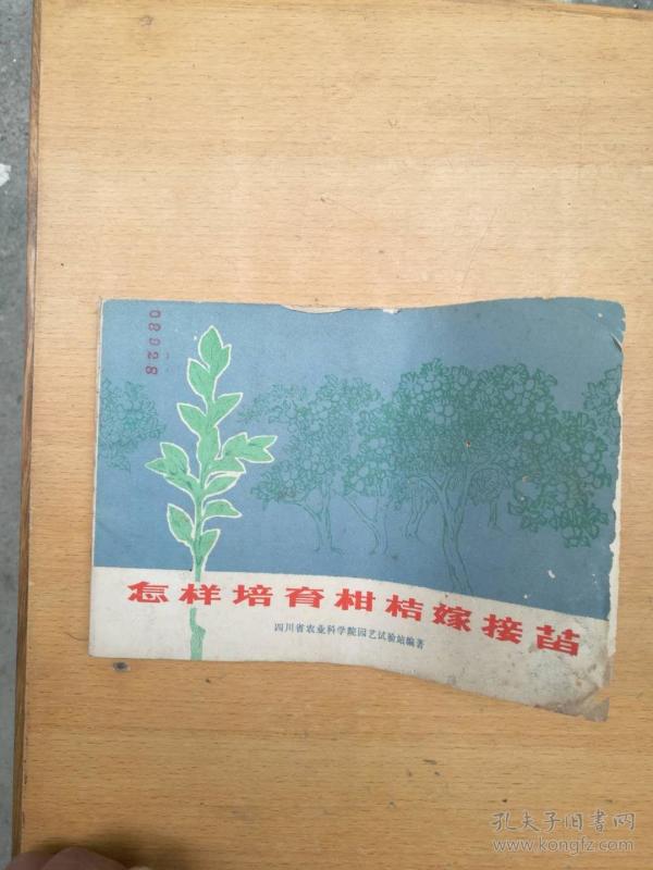 怎样培育柑橘嫁接苗