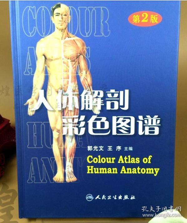 人体解剖 人体解剖学 彩色学图谱 系统局部解剖学 人体解刨学书籍 人
