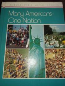 Mony Americons-One Nationg  美国--一个国家