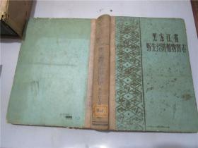 黑龙江省野生经济植物图志