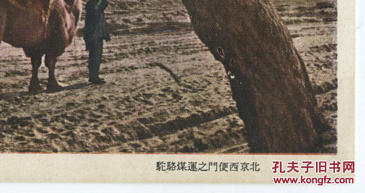 【图】民国北京内城西南角楼与运煤的骆驼宽幅