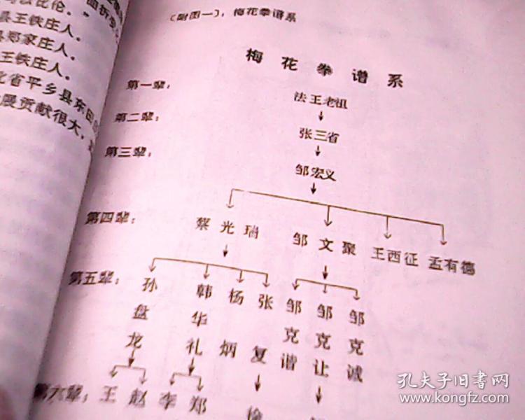 中国梅花拳武功全书【上册】