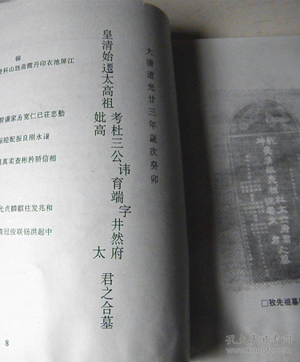 颍州东区杜氏族谱