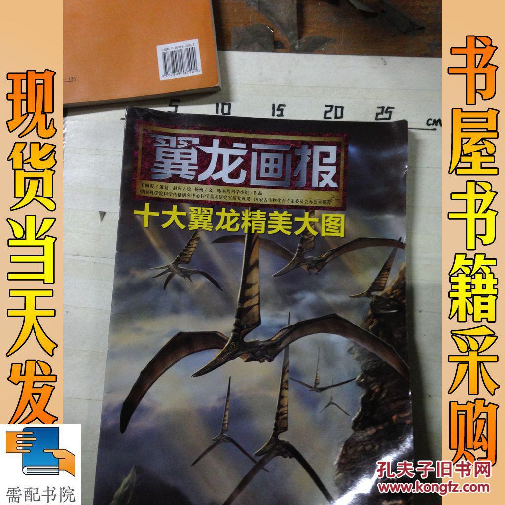 翼龙画报:十大翼龙精美大图