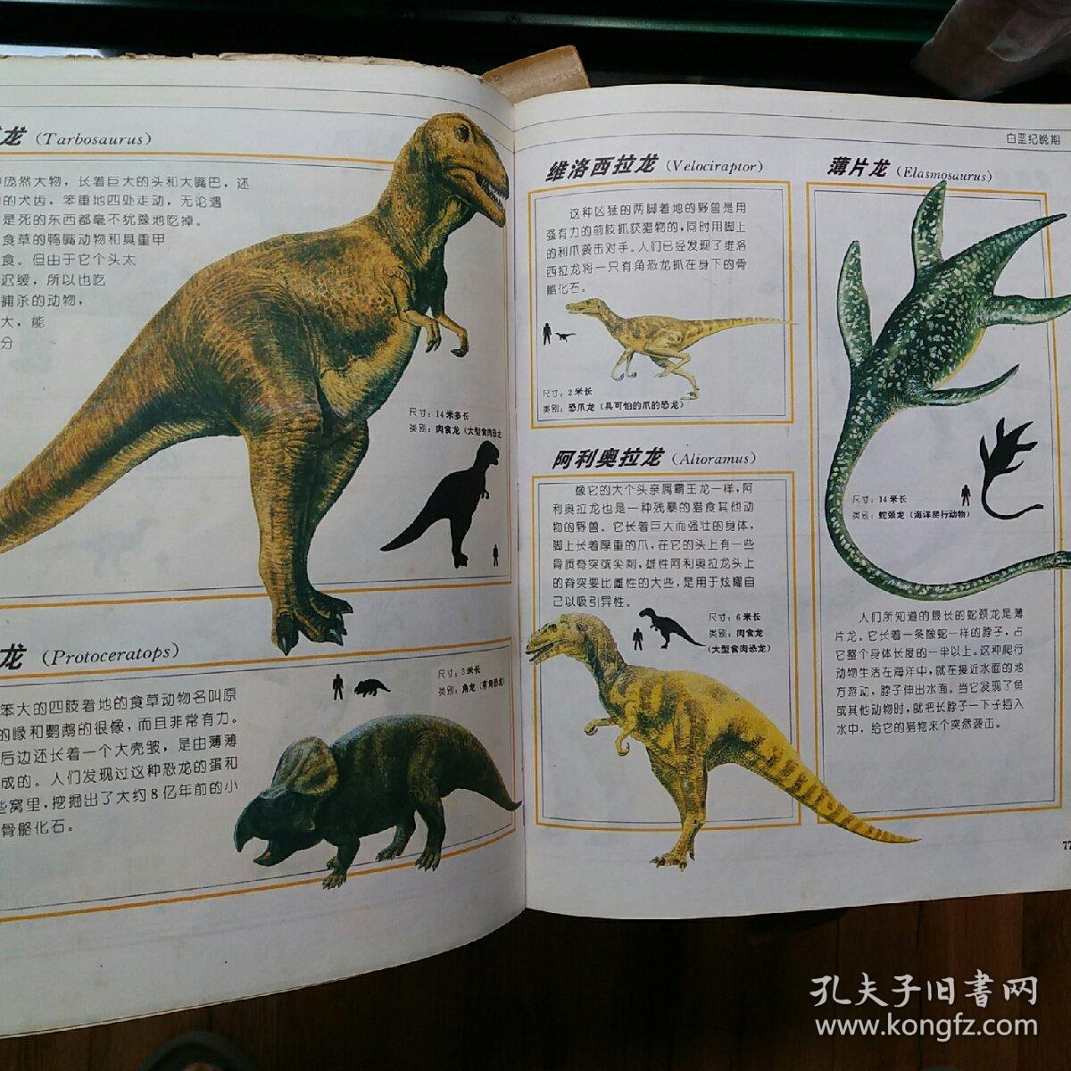 少儿恐龙百科全书