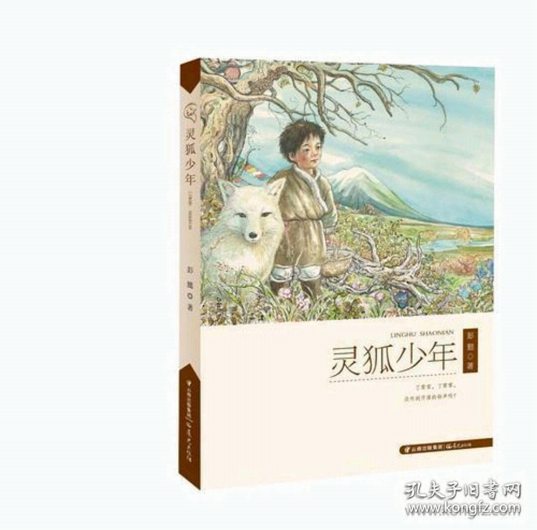 灵狐少年