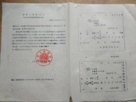 横县人民委员会 为使用婴儿出生证明书的通知 1956年.