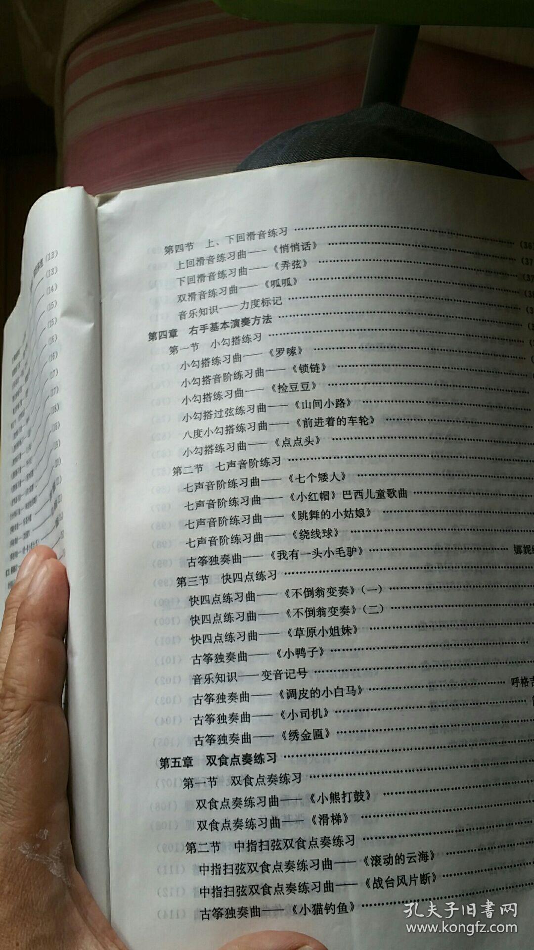 杨娜妮古筝教程
