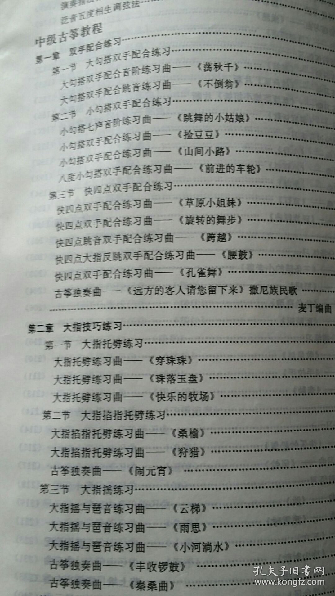 杨娜妮古筝教程