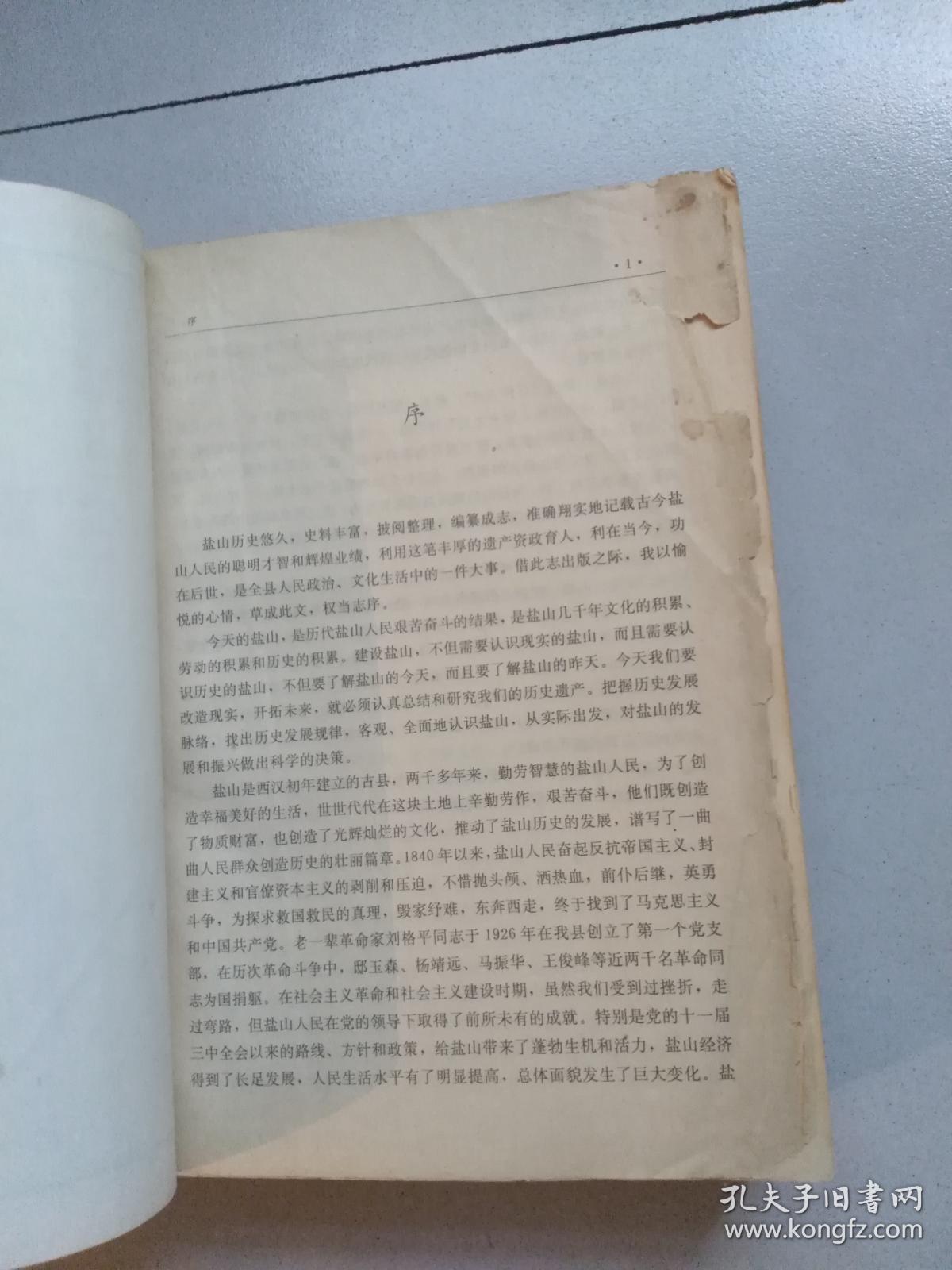 盐山县志【精装/品相如图】