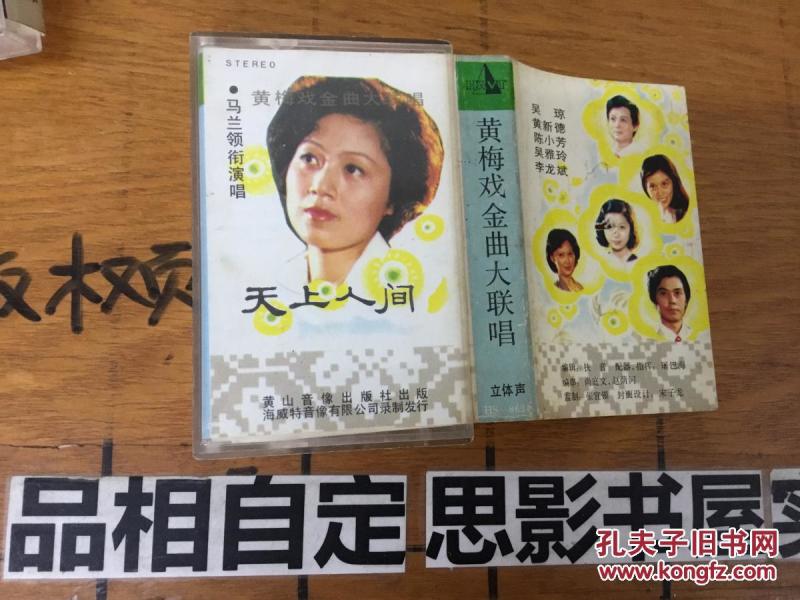 吴琼黄梅戏曲谱_黄梅戏演员吴琼(2)