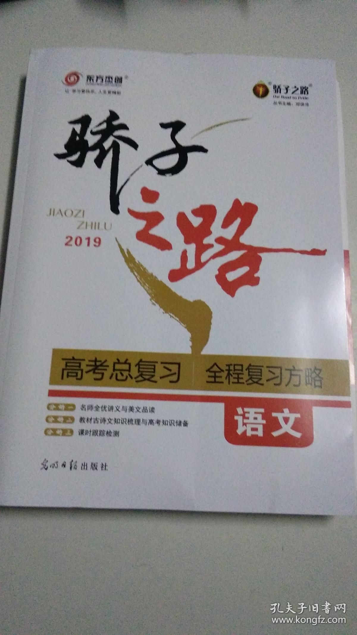 骄子之路2019高考总复习.