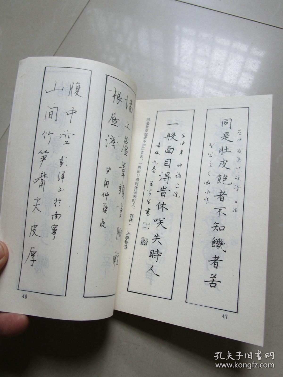 中国联林珍奇硬笔书法丛书:一 名胜珍联;二 趣联巧对;三 警世格言联