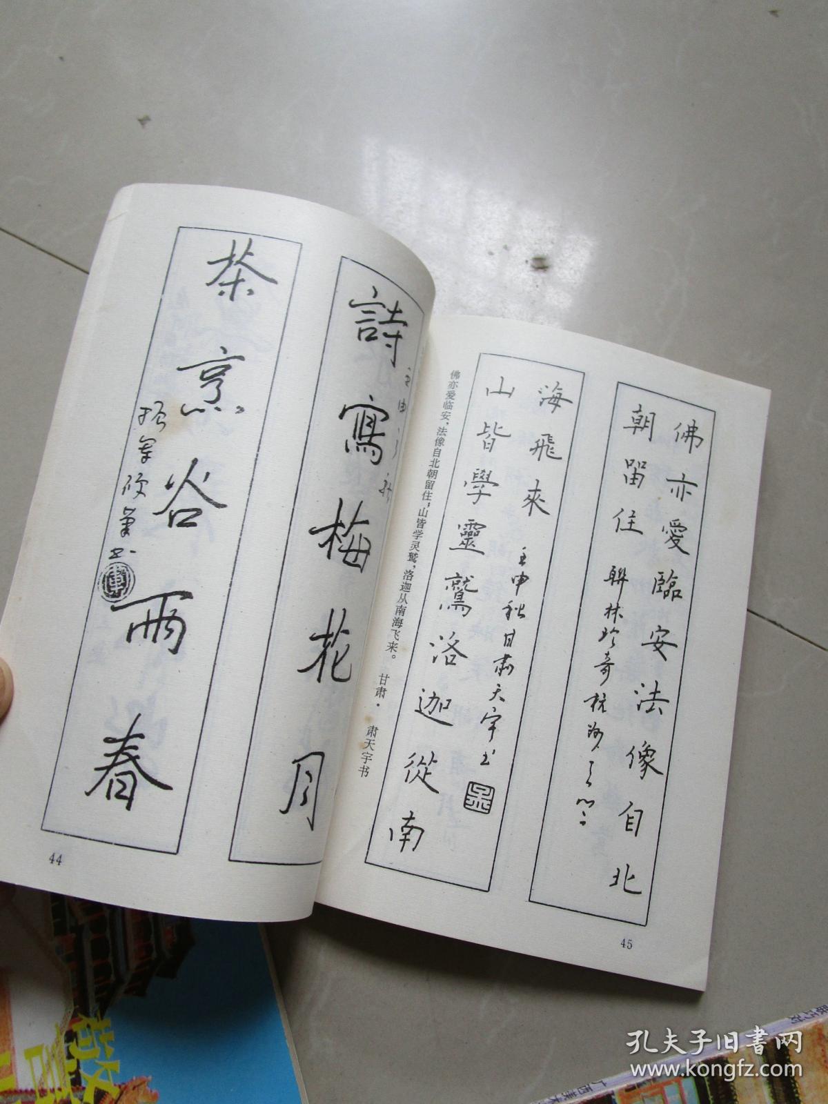 中国联林珍奇硬笔书法丛书:一 名胜珍联;二 趣联巧对;三 警世格言联