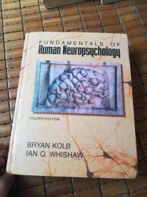 Fundamentals of Human neuropsychology